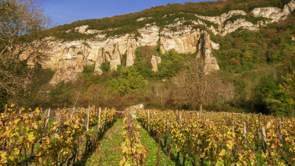 Revolutionerende Chablis: Oplev Frankrigs Skjulte Perle
